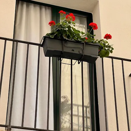 Panzió Matri Mia Trapani